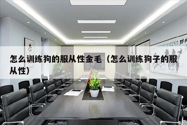 怎么训练狗的服从性金毛（怎么训练狗子的服从性）