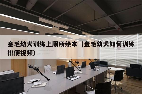 金毛幼犬训练上厕所绘本（金毛幼犬如何训练排便视频）
