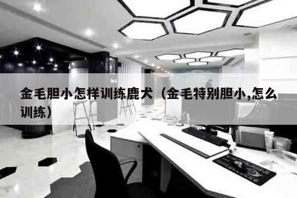 金毛胆小怎样训练鹿犬（金毛特别胆小,怎么训练）