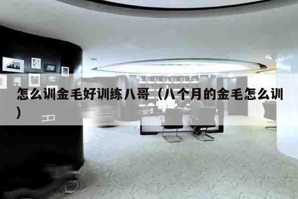 怎么训金毛好训练八哥（八个月的金毛怎么训）