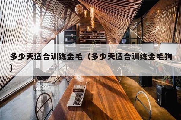 多少天适合训练金毛（多少天适合训练金毛狗）