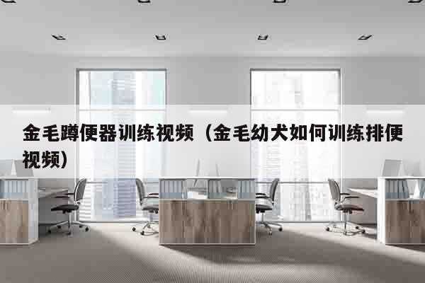 金毛蹲便器训练视频（金毛幼犬如何训练排便视频）