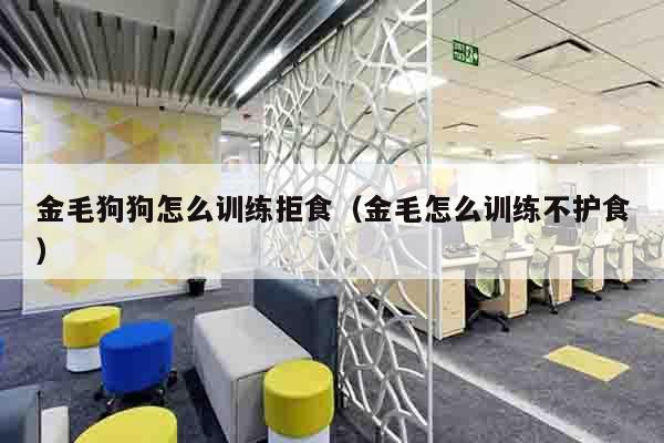 金毛狗狗怎么训练拒食（金毛怎么训练不护食）