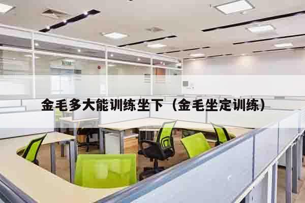 金毛多大能训练坐下（金毛坐定训练）
