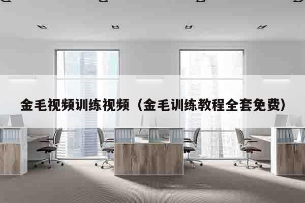 金毛视频训练视频（金毛训练教程全套免费）