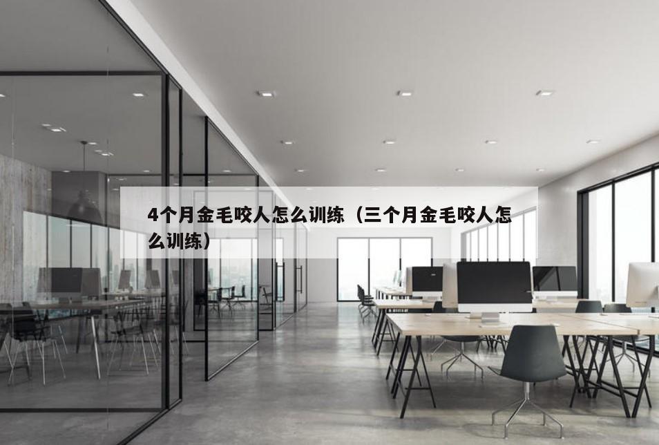 4个月金毛咬人怎么训练（三个月金毛咬人怎么训练）