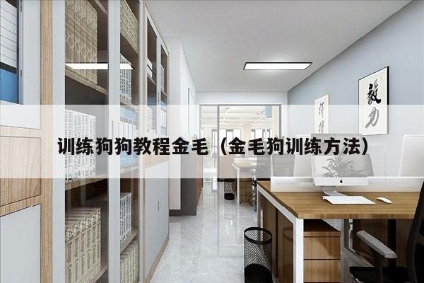 训练狗狗教程金毛（金毛狗训练方法）