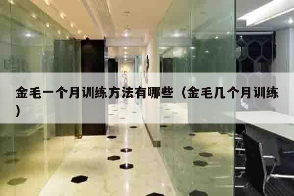 金毛一个月训练方法有哪些（金毛几个月训练）
