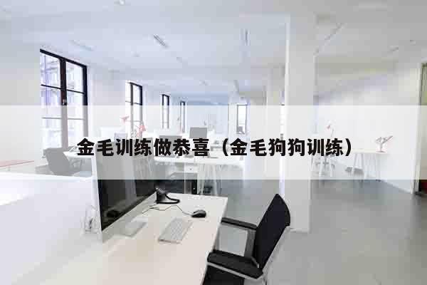 金毛训练做恭喜（金毛狗狗训练）