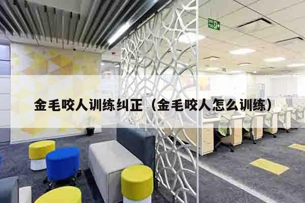 金毛咬人训练纠正（金毛咬人怎么训练）