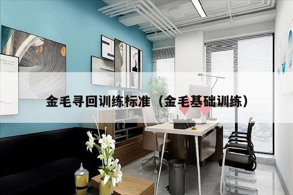 金毛寻回训练标准（金毛基础训练）