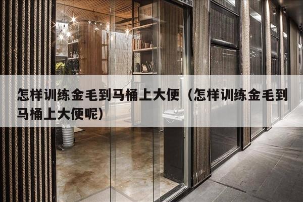 怎样训练金毛到马桶上大便（怎样训练金毛到马桶上大便呢）