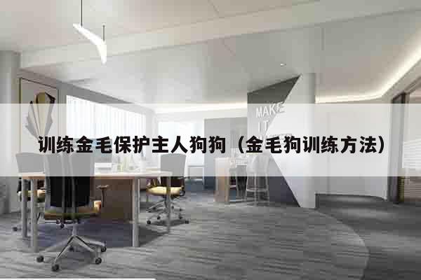 训练金毛保护主人狗狗（金毛狗训练方法）