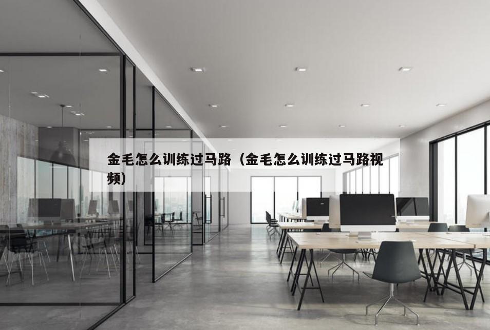 金毛怎么训练过马路（金毛怎么训练过马路视频）