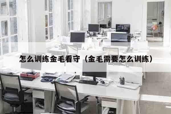 怎么训练金毛看守（金毛需要怎么训练）