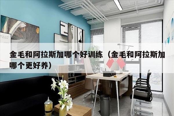 金毛和阿拉斯加哪个好训练（金毛和阿拉斯加哪个更好养）