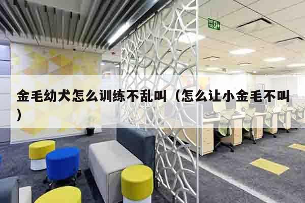 金毛幼犬怎么训练不乱叫（怎么让小金毛不叫）