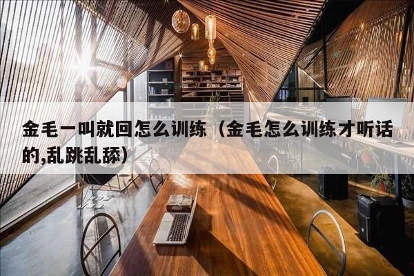 金毛一叫就回怎么训练（金毛怎么训练才听话的,乱跳乱舔）