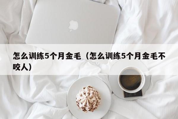 怎么训练5个月金毛（怎么训练5个月金毛不咬人）