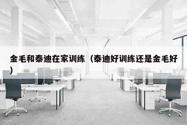 金毛和泰迪在家训练（泰迪好训练还是金毛好）