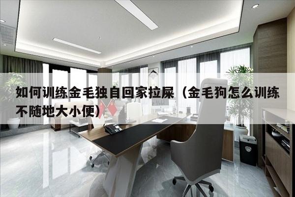 如何训练金毛独自回家拉屎（金毛狗怎么训练不随地大小便）
