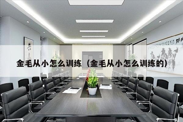 金毛从小怎么训练（金毛从小怎么训练的）