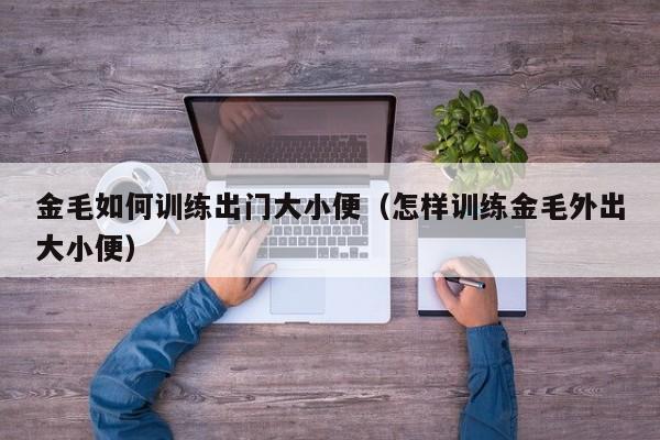 金毛如何训练出门大小便（怎样训练金毛外出大小便）