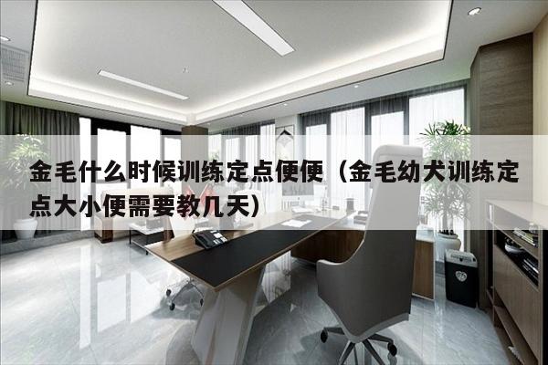 金毛什么时候训练定点便便（金毛幼犬训练定点大小便需要教几天）