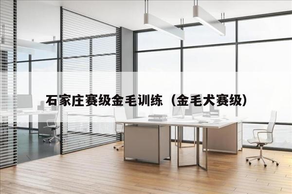 石家庄赛级金毛训练（金毛犬赛级）