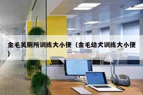 金毛关厕所训练大小便（金毛幼犬训练大小便）