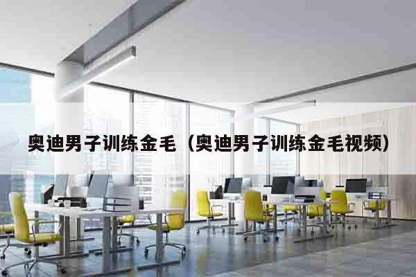 奥迪男子训练金毛（奥迪男子训练金毛视频）