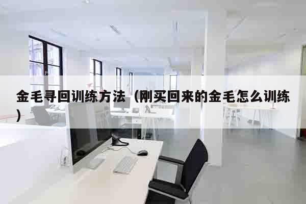 金毛寻回训练方法（刚买回来的金毛怎么训练）
