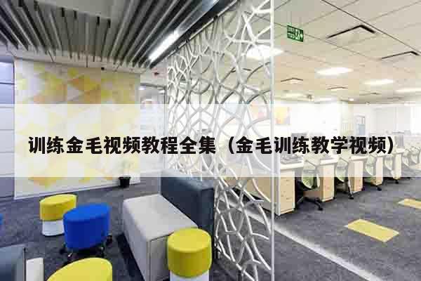 训练金毛视频教程全集（金毛训练教学视频）