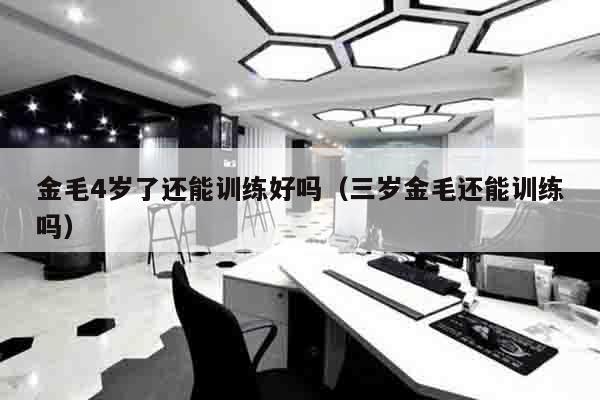 金毛4岁了还能训练好吗（三岁金毛还能训练吗）