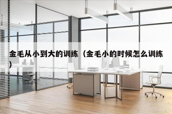 金毛从小到大的训练（金毛小的时候怎么训练）