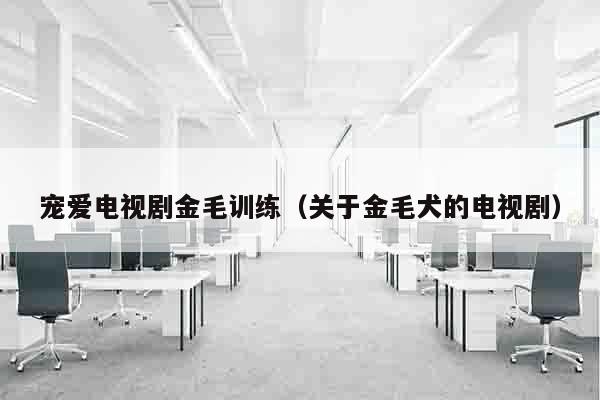 宠爱电视剧金毛训练（关于金毛犬的电视剧）