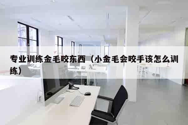 专业训练金毛咬东西（小金毛会咬手该怎么训练）