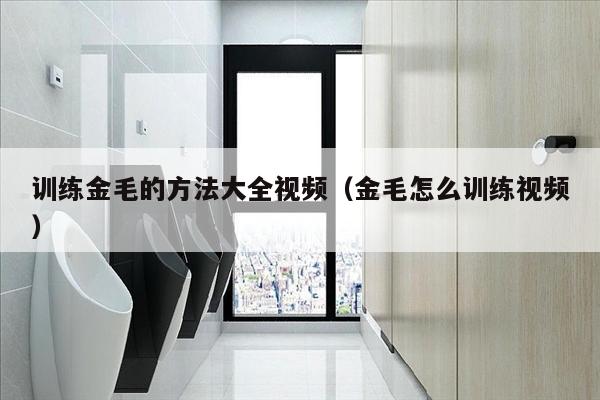 训练金毛的方法大全视频（金毛怎么训练视频）