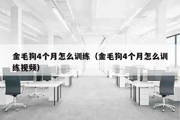 金毛狗4个月怎么训练（金毛狗4个月怎么训练视频）