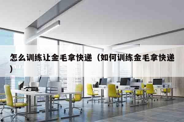 怎么训练让金毛拿快递（如何训练金毛拿快递）