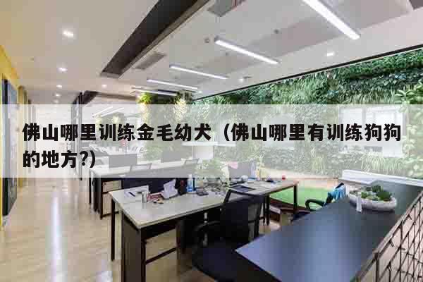 佛山哪里训练金毛幼犬（佛山哪里有训练狗狗的地方?）