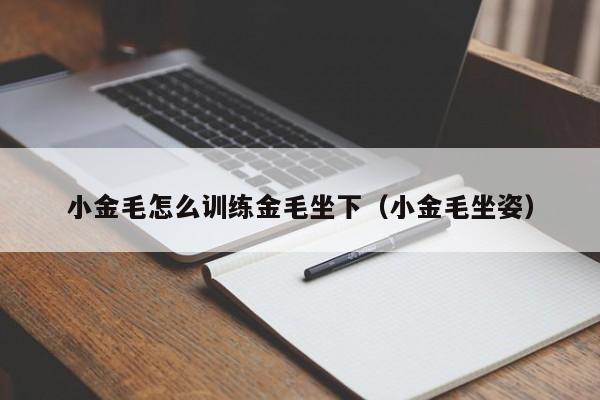 小金毛怎么训练金毛坐下（小金毛坐姿）