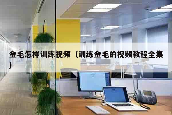 金毛怎样训练视频（训练金毛的视频教程全集）