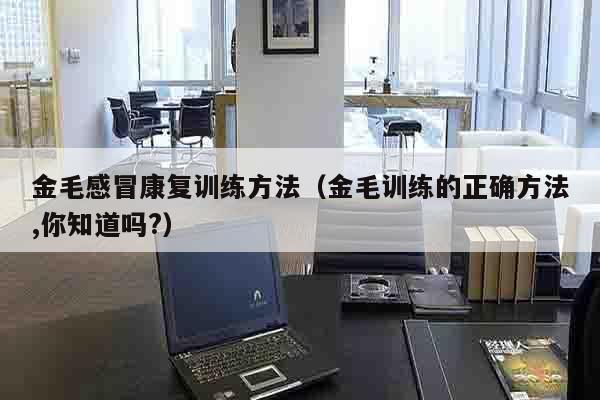 金毛感冒康复训练方法（金毛训练的正确方法,你知道吗?）