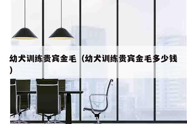 幼犬训练贵宾金毛（幼犬训练贵宾金毛多少钱）