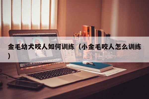 金毛幼犬咬人如何训练（小金毛咬人怎么训练）
