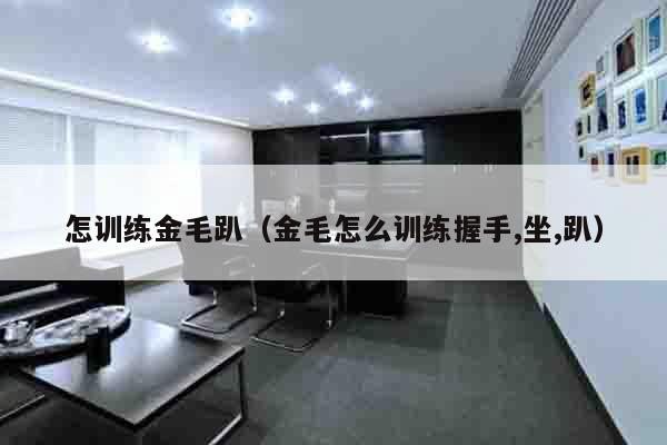 怎训练金毛趴（金毛怎么训练握手,坐,趴）