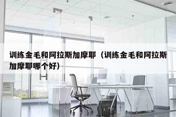 训练金毛和阿拉斯加摩耶（训练金毛和阿拉斯加摩耶哪个好）