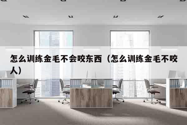 怎么训练金毛不会咬东西（怎么训练金毛不咬人）