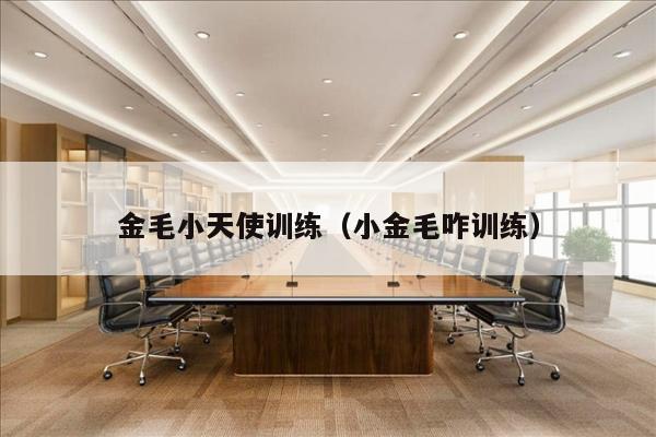 金毛小天使训练（小金毛咋训练）